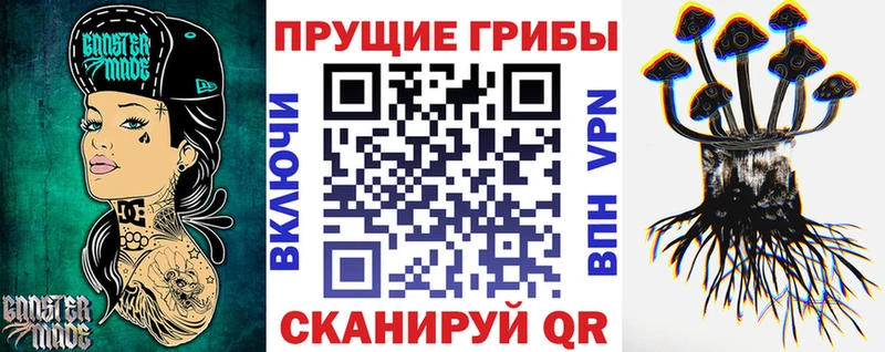 Псилоцибиновые грибы мухоморы Новозыбков