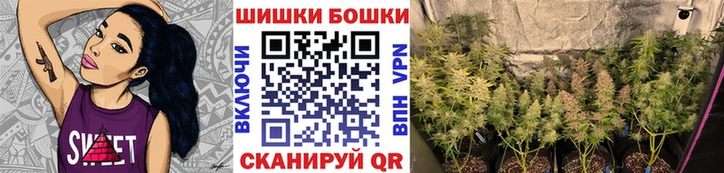 Конопля сатива  цена   Новозыбков 